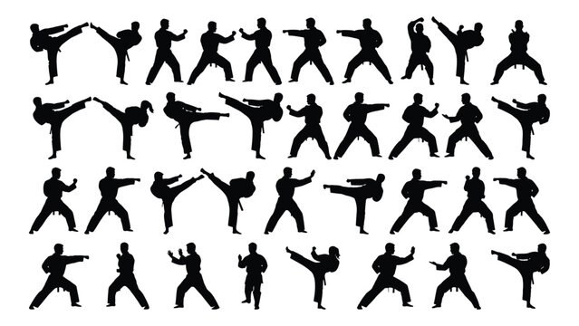 Collection of martial arts silhouettes depicting various fighting poses on a white background silhouette