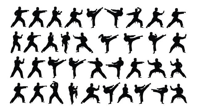 Collection of martial arts silhouettes depicting various fighting poses on a white background silhouette