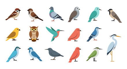 Fototapeta premium Diverse Collection of Various Bird Species Displayed Together in a Lively Arrangement Showing Avian Life and Nature Fauna Including Small Songbirds and Larger Wading Birds Illustrating