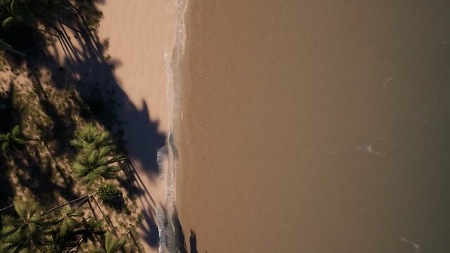Stunning aerial shot capturing tall palm trees casting shadows on a sandy beach with gentle waves washing ashore under natural sunlight.