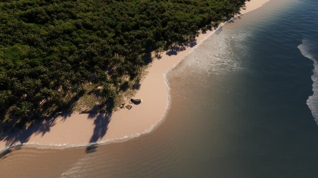 Scenic aerial shot of a tropical beach with soft sandy shoreline bordered by dense palm forest and gentle ocean waves under natural daylight.