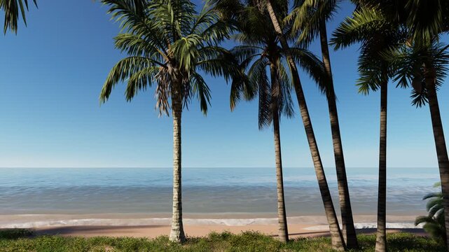 Serene tropical beach scene with tall palm trees, clear blue sky, and calm ocean waves. Perfect for vacation, relaxation, and travel themed projects.