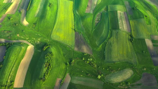 Aerial view of picturesque green fields patchwork landscape in springtime.