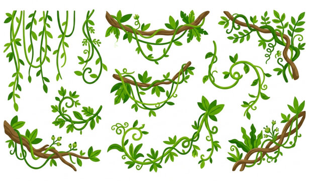 Cartoon liana vine vector set with winding jungle climbing plants isolated on white