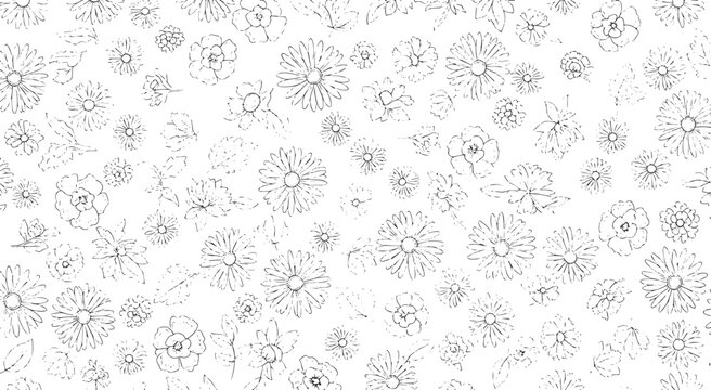 Seamless floral pattern with tiny hand drawn wildflowers ditsy daisy line art botanical background vector