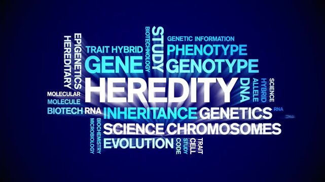 Heredity animated word cloud-text design animation tag kinetic typography seamless loop.
