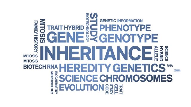 inheritance animated word cloud-text design animation tag kinetic typography seamless loop.