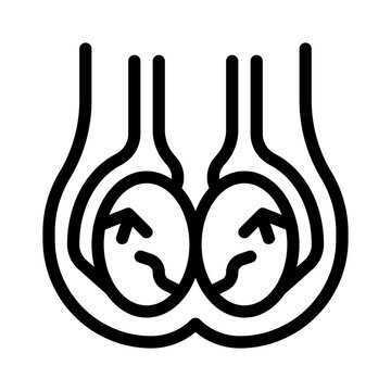 testicles line icon