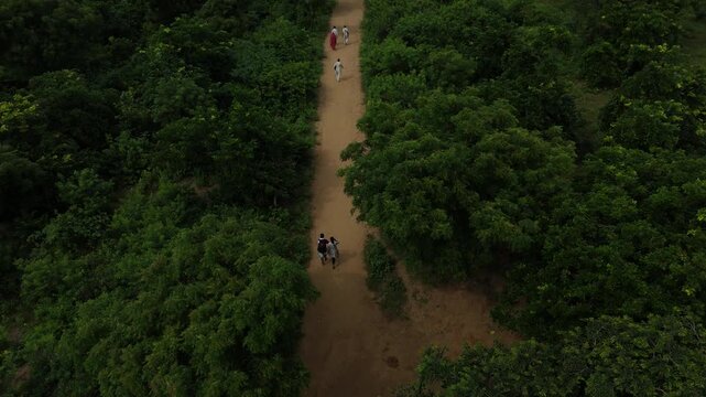 Aerial view of devotees walking on the sacred Govardhan Parvat Parikrama Marg surrounded by lush greenery, Mathura.
