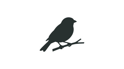 Fototapeta premium Bird perched on branch black silhouette