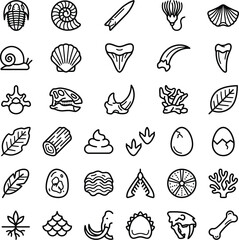 Paleontology line icons set fossils and prehistoric life © Pranto Thakur