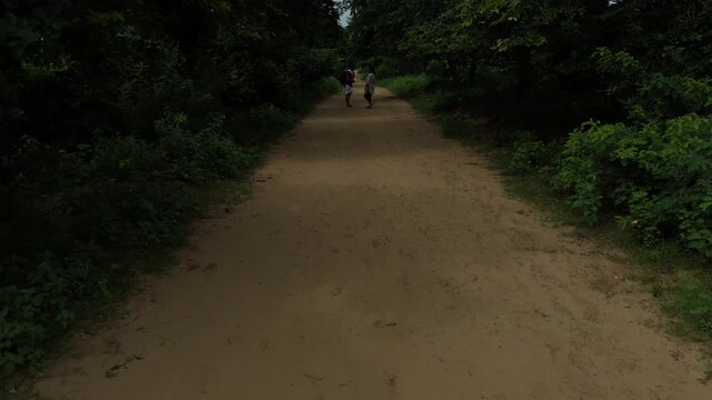 Aerial view of devotees walking on the sacred Govardhan Parvat Parikrama Marg surrounded by lush greenery, Mathura.