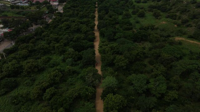 Aerial view of devotees walking on the sacred Govardhan Parvat Parikrama Marg surrounded by lush greenery, Mathura.