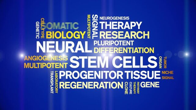 Neural Stem Cells animated word cloud-text design animation tag kinetic typography seamless loop.