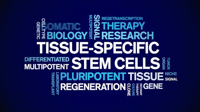 tissue-specific stem cells animated word cloud-text design animation tag kinetic typography seamless loop.
