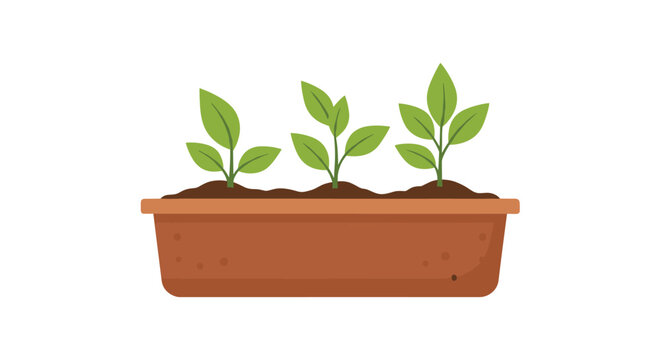Three small green seedlings growing in rich dark soil inside a long brown rectangular planter box against a white background.