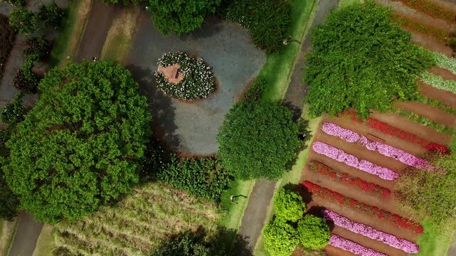 Imagens a&eacute;reas do Bloemen Park de flores - Holambra, S&atilde;o Paulo, Brasil - 10 de outubro de 2025