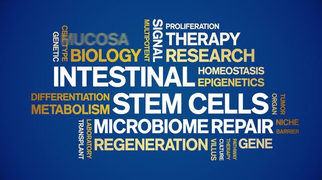 intestinal Stem Cells animated word cloud-gross domestic product animation tag kinetic typography seamless loop.