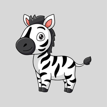 zebra vector illustration 