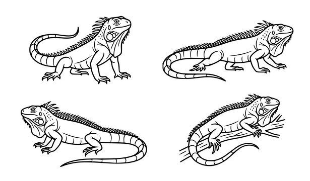 Collection of wild iguana lizards hand drawn sketch illustration. Tropical reptiles and desert animals vintage engraving style vector