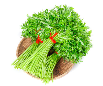 Fresh Green Leafy Vegetables in Wicker Basket - Jiangxi Province Organic Produce Studio Shot