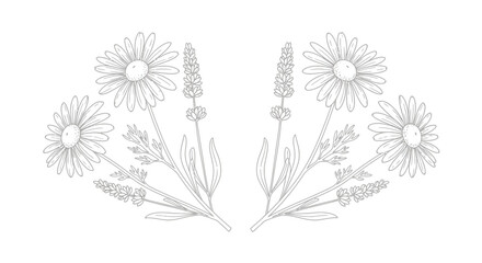 Obraz premium A line drawing of flowers and plants.