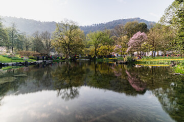 Obraz premium Spring magnolia blossoms and lake reflections in Taiziwan Park, Hangzhou