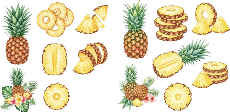 Watercolor pineapple fruit set with whole, sliced, and half pineapples, tropical leaves, and flowers.