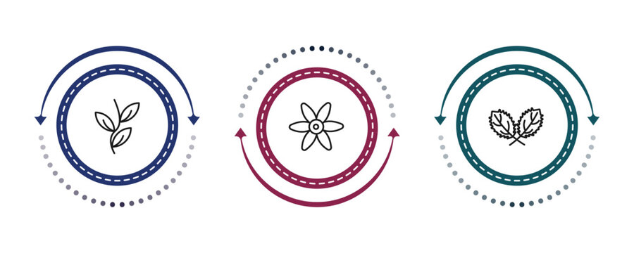 outline nature icons set - pinnation, , straberry leaf. editable vector for web and mobile ui