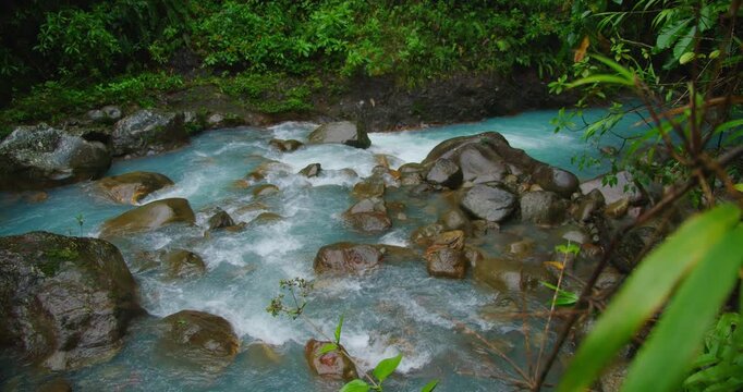 Vibrant blue river rapidly flowing over dark wet rocks in a tropical cloud forest