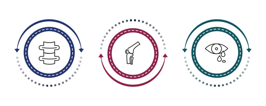 outline human body parts icons set - spine bone, kneecap, sweat or tear drop. editable vector for web and mobile ui