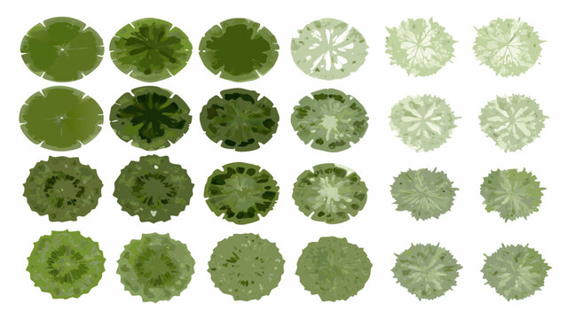 collection of green tree top views aerial perspective vector illustration on white background high quality