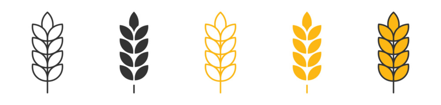 Wheat Grain Icon Set , agriculture harvest symbols, organic farming elements, cereal crop icons, and natural food vector icons.