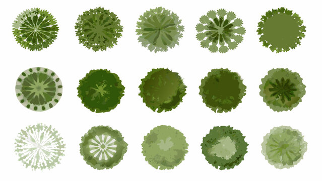 collection of green tree top views circular foliage patterns on a white background high quality
