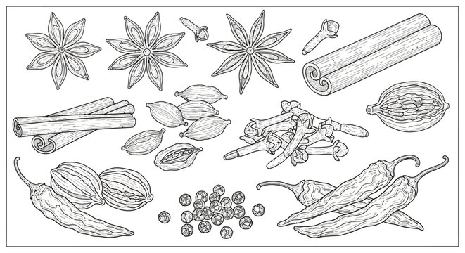 A collection of various spice ingredients.