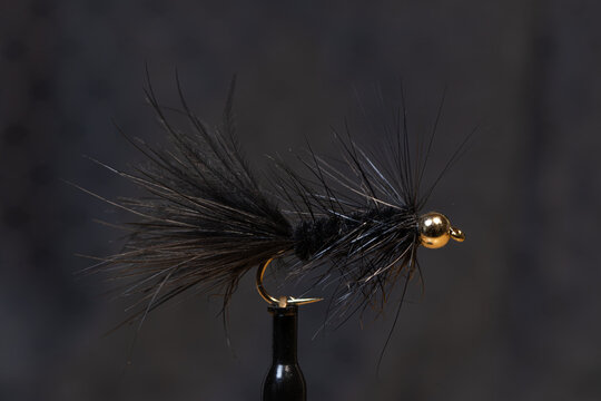 Schwarzer Woolly Bugger mit Goldkopf &ndash; Makroaufnahme f&uuml;r Fliegenfischen