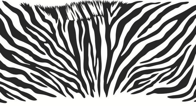 Abstract Zebra Stripes Pattern, Black and White Animal Print Texture
