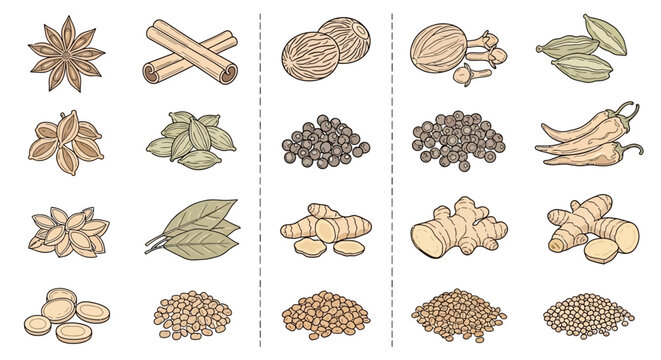 A collection of various spice and herb ingredients.