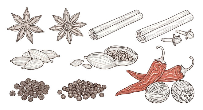 A collection of various spices and seasonings.