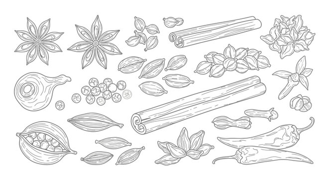 A collection of various spice ingredients.