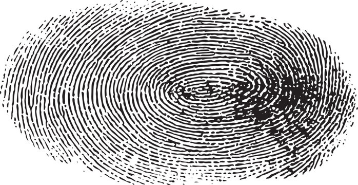Black and white fingerprint pattern thumbprint