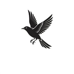 Fototapeta premium black and white bird