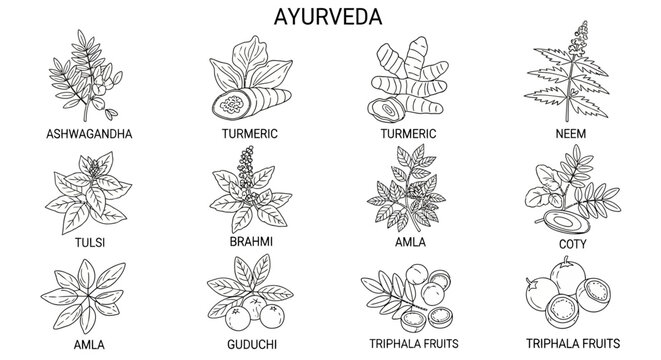 Ayurveda herbs and plants illustrations.
