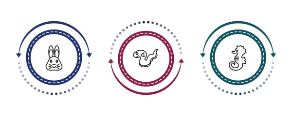outline animals icons set - hare, eel, sea horse. editable vector for web and mobile ui © IconArt