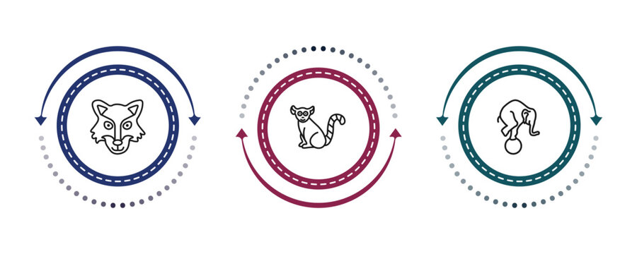 outline animals icons set - wolf, lemur, elephant on a ball. editable vector for web and mobile ui