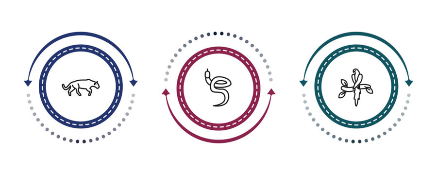 outline animals icons set - panther, blindworm, aw. editable vector for web and mobile ui