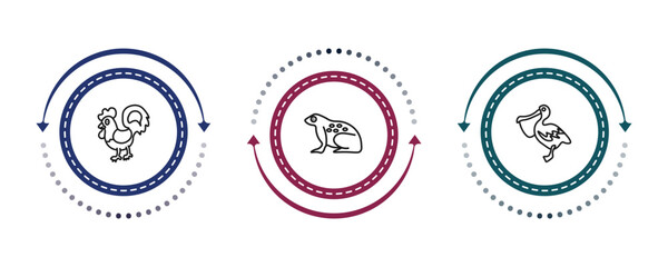 outline animals icons set - cock, tropical frop, pelican. editable vector for web and mobile ui © IconArt