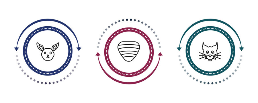 outline animals icons set - jerboa, clam, lynx. editable vector for web and mobile ui