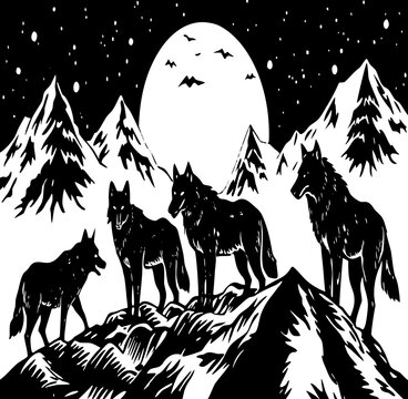 wolf howling at night