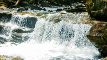 Rushing mountain stream cascades over mossy rocks in lush green forest © shine.graphics
